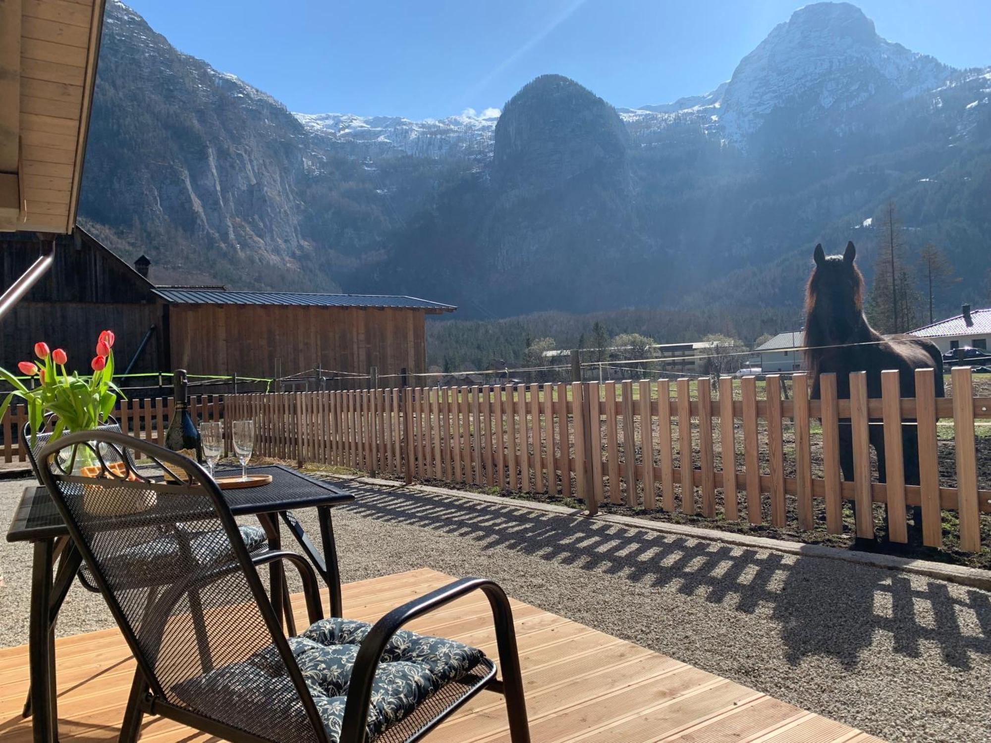 Iris Apartments Obertraun Dış mekan fotoğraf